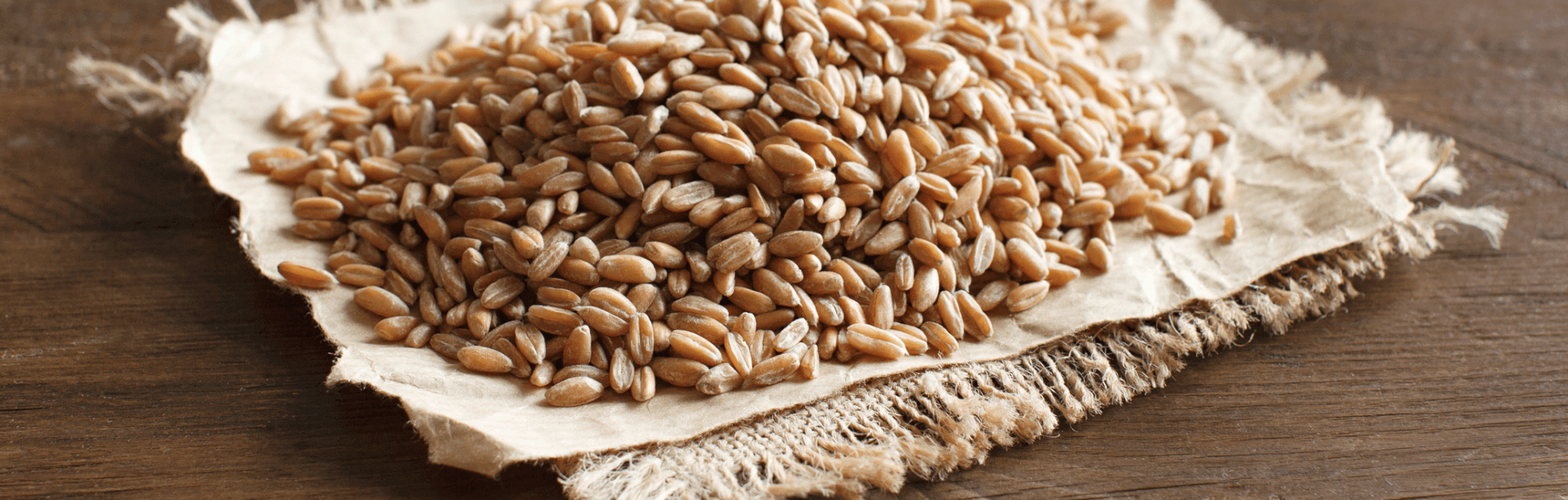 What You Need to Know About Gluten