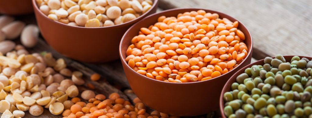 Why Beans Are the Best - National Bean Day